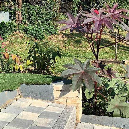 Вілла Au Fond Du Jardin Wintzenheim-Kochersberg Екстер'єр фото